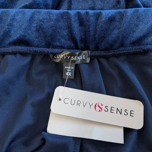 Curvy Sense Royal Blue Velvet Pants, 4X - Picture 7 of 9